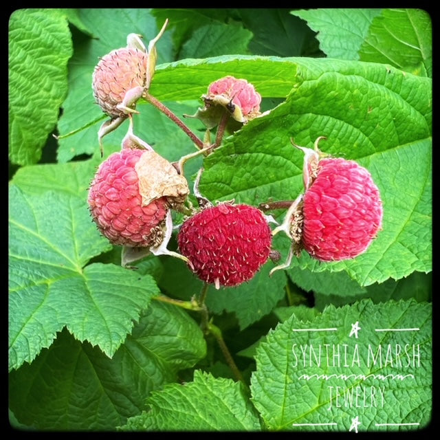 Thimbleberry Collection