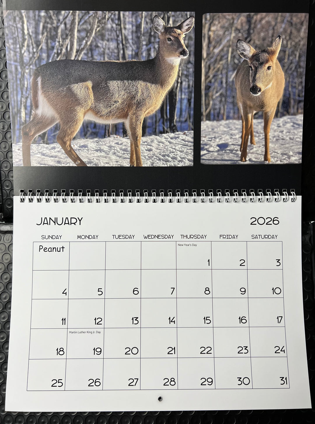 2026 Peanut & Friends Monthly Calendar