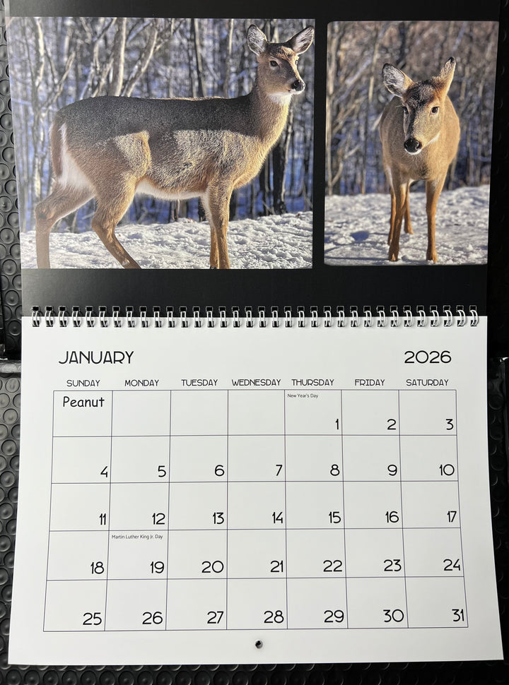 2026 Peanut & Friends Monthly Calendar