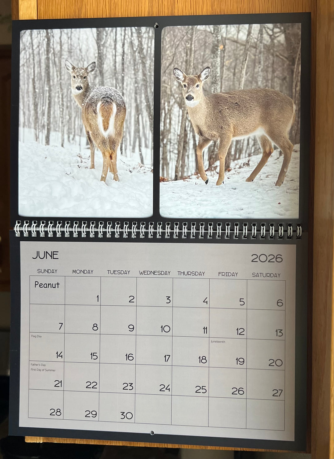 2026 Peanut & Friends Monthly Calendar  ~ Gray Background