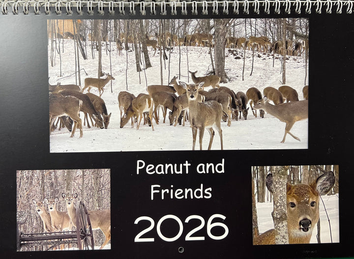 2026 Peanut & Friends Monthly Calendar