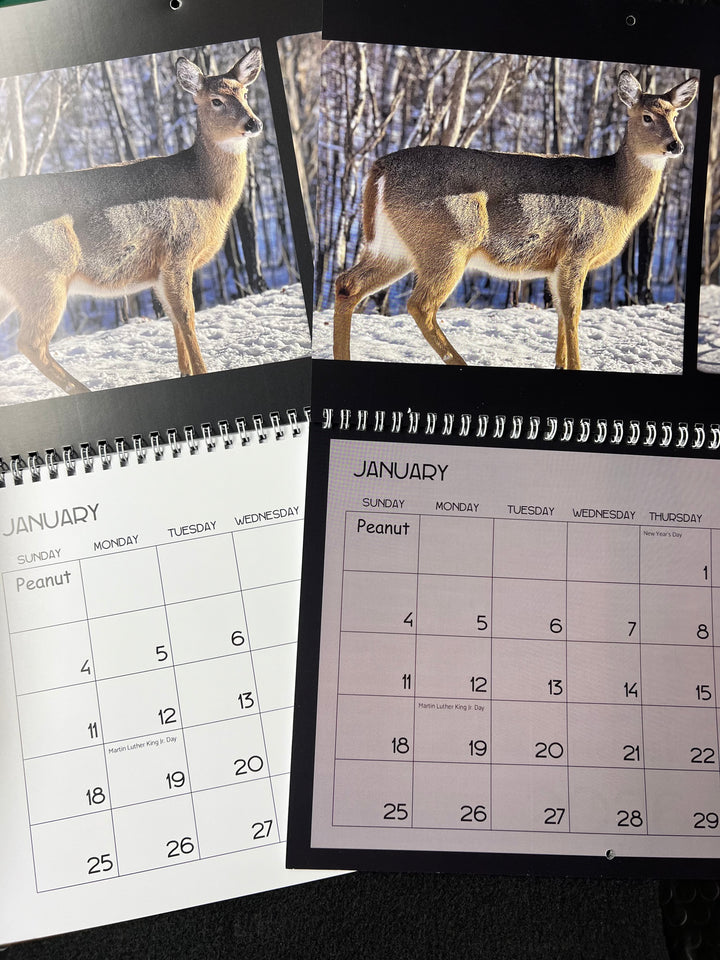 2026 Peanut & Friends Monthly Calendar + OOPSIE Calendar